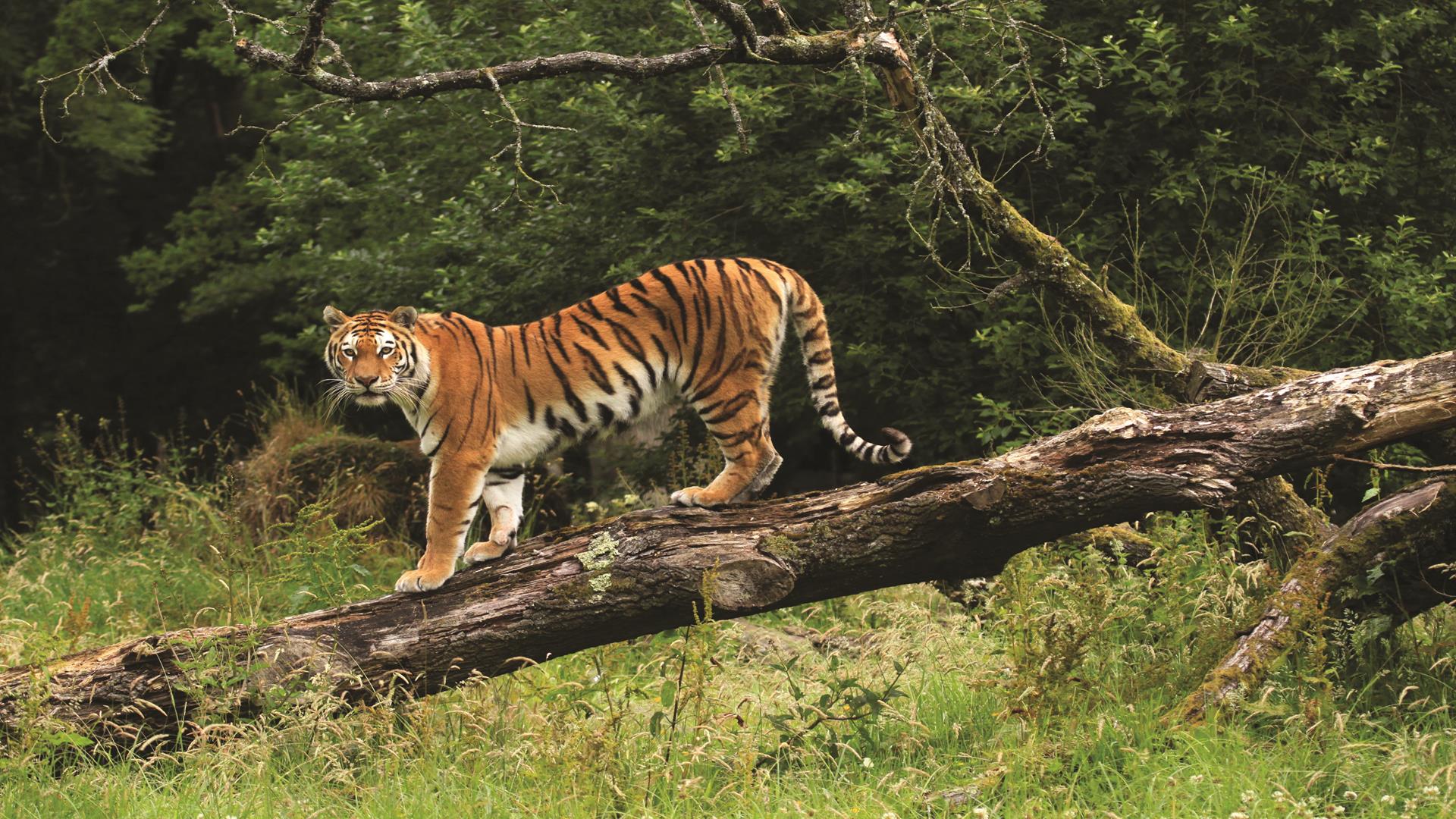 Longleat